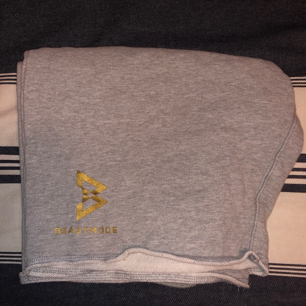 Beast mode sweat shorts. Perfect condition